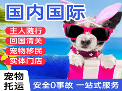 邵阳武冈机场货运国际宠物托运 【国